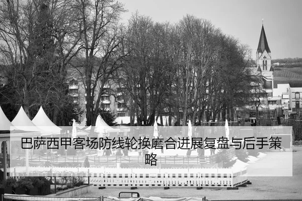 ba-sa-xi-jia-ke-chang-fang-xian-lun-huan-mo-he-jin-zhan-fu-pan-yu-hou-shou-ce-lve-2-583.jpg